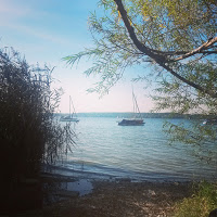 Ammersee im Sommer