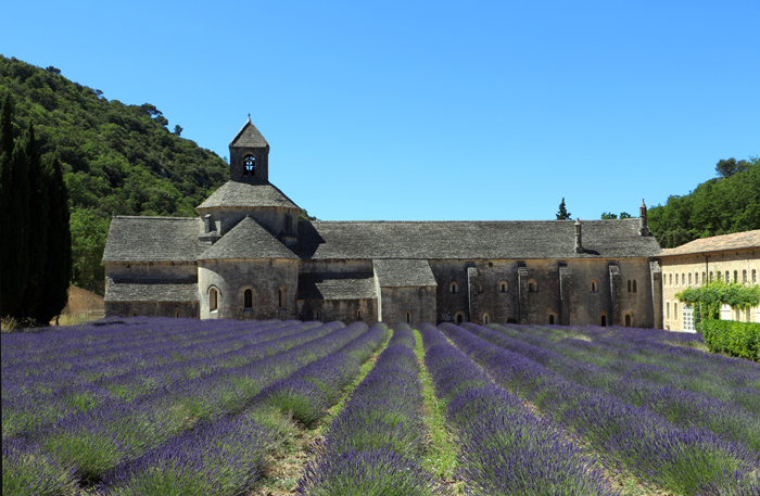 Abbaye de Senanque, Provence