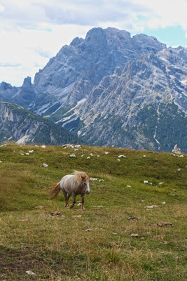 Ponys in Südtirol, Drei Zinnen