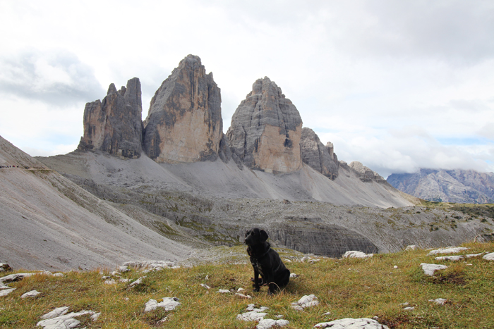 Wandern mit Hund in Südtirol, Drei Zinnen