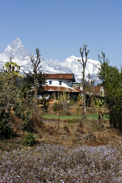 Haus am Annapurna Gebirge in Nepal