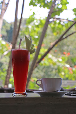 Frucht-Shake und Kaffe im Guru Cafe in Ella