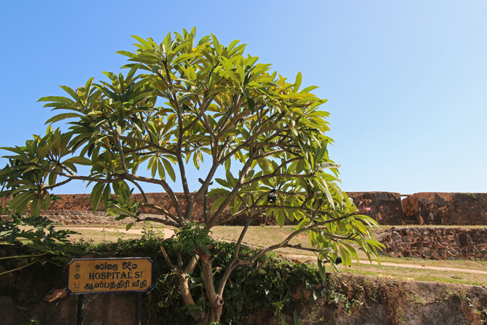 Strasse in Galle Fort