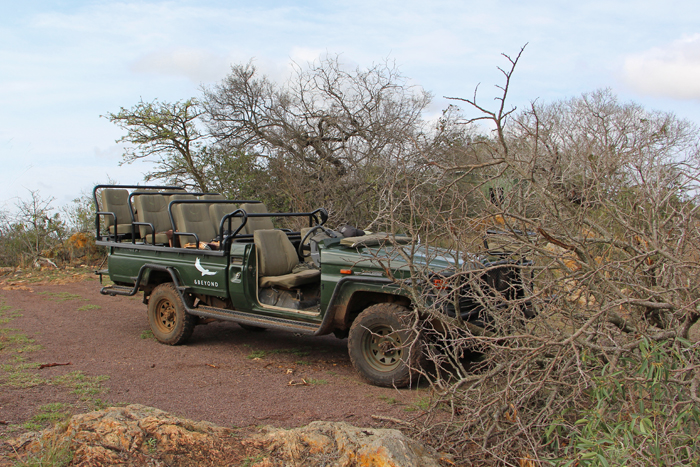 Jeep im andbeyond Phinda Game Reserve