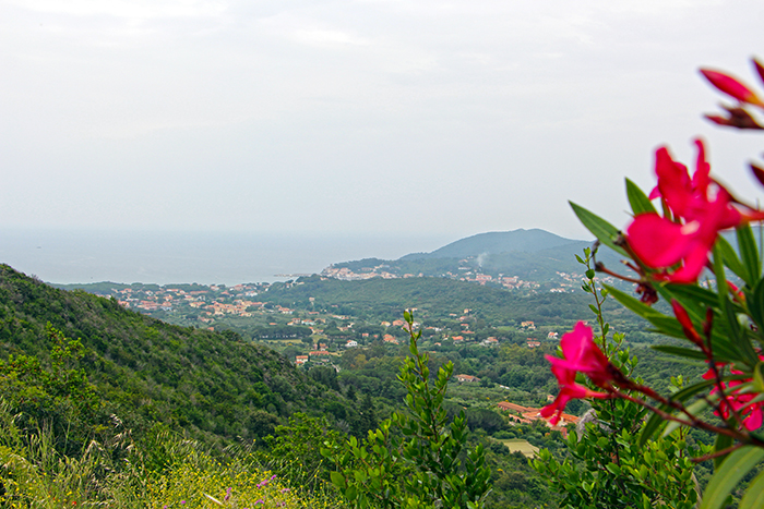 Bergblick auf Elba