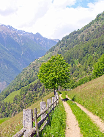 Meraner Höhenweg Südtirol