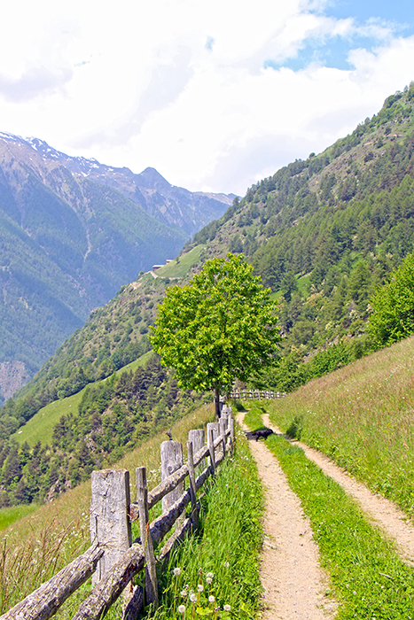 Meraner Höhenweg Südtirol 