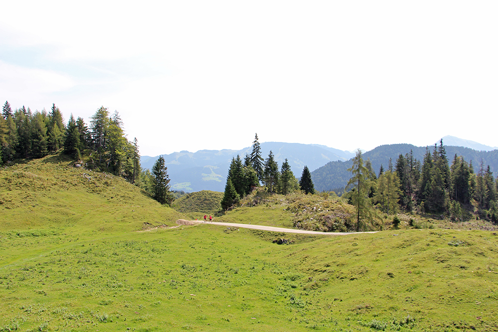Schotterweg zur Walleralm, Kaisergebirge in Tirol