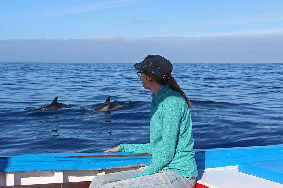 Delfinbeobachtung auf La Gomera - Responsible Whale Watching Kanaren