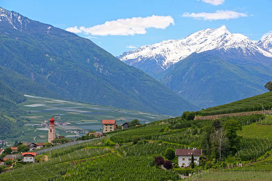 Tschars in Südtirol